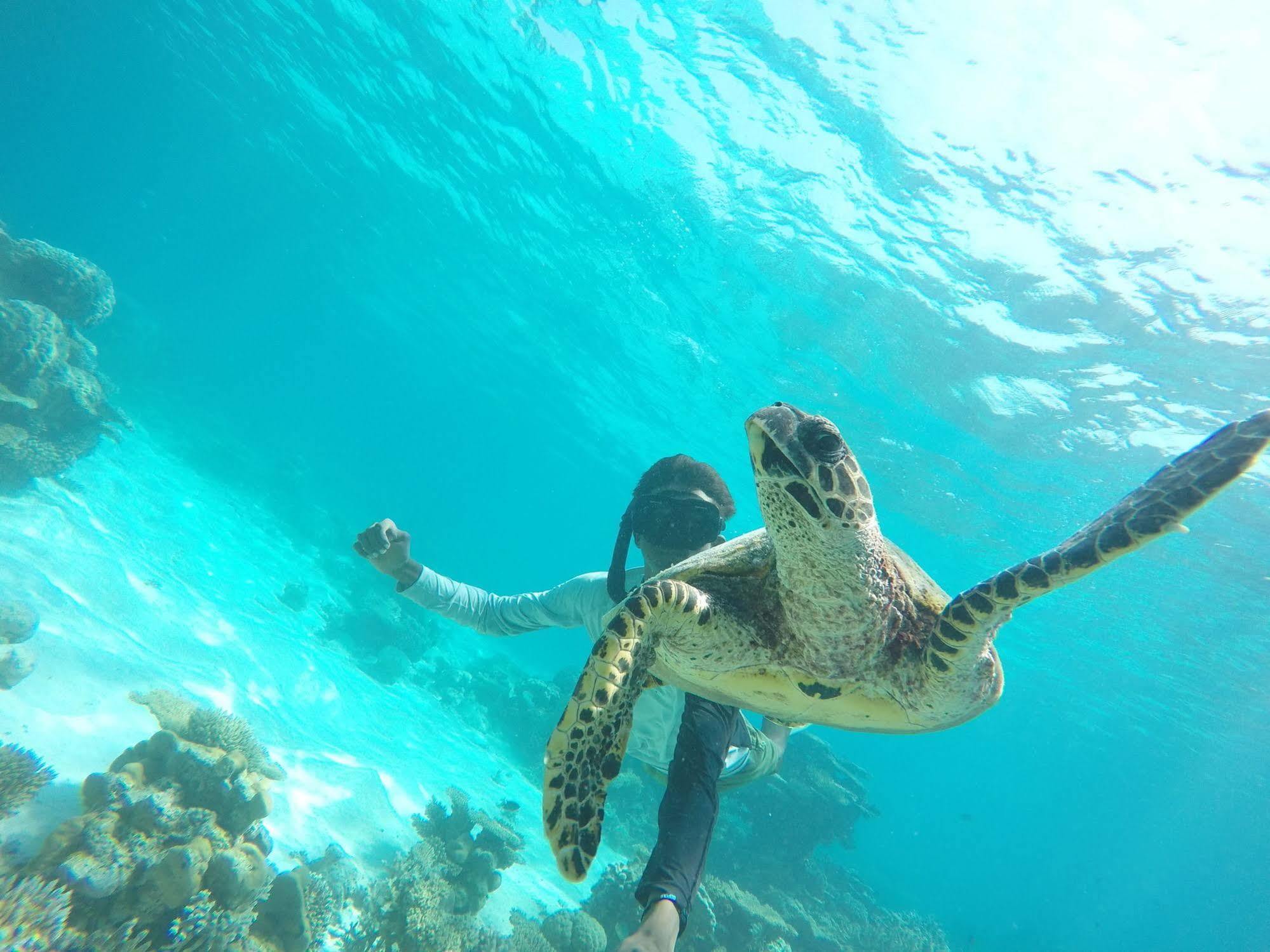 Hotel Lily Rest Maldives Maafushi Esterno foto
